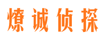 蕉城市场调查